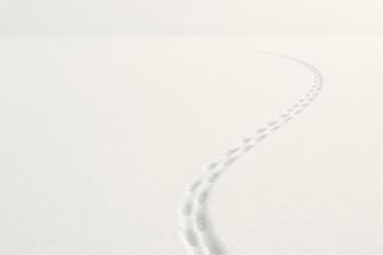 Mid-lake loop route with a curved line of tracks in soft snow